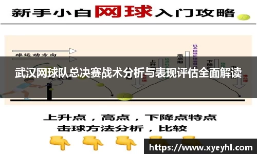 JN体育