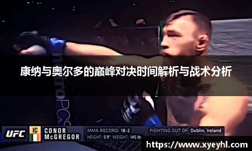 JN体育