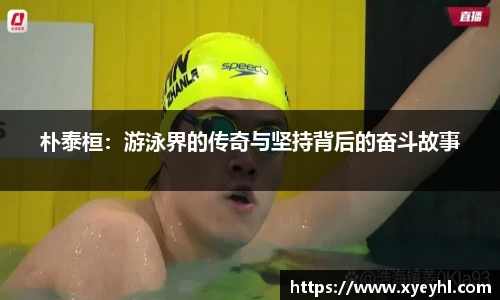 JN体育
